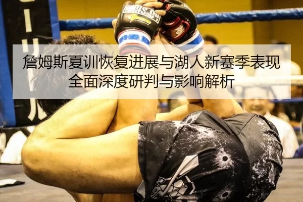 詹姆斯夏训恢复进展与湖人新赛季表现全面深度研判与影响解析