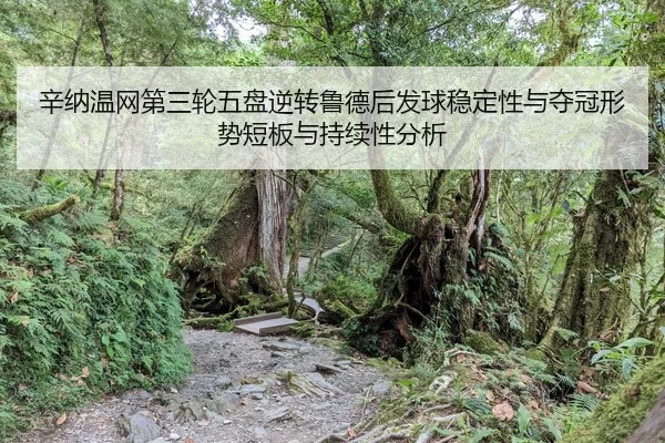 xin-na-wen-wang-di-san-lun-wu-pan-ni-zhuan-lu-de-hou-fa-qiu-wen-ding-xing-yu-duo-guan-xing-shi-duan-ban-yu-chi-xu-xing-2-232.jpg